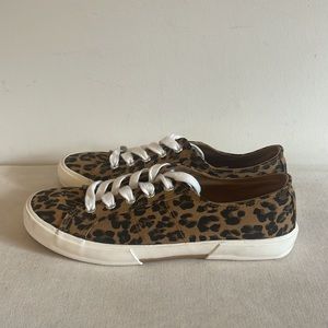 Leopard print canvas Sneakers NWOT